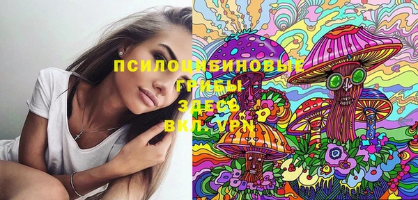 эйфоретик Белокуриха