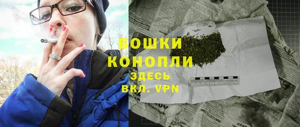 эйфоретик Белокуриха