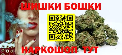 mdpv Заводоуковск