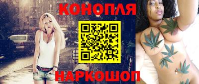 mdpv Заводоуковск