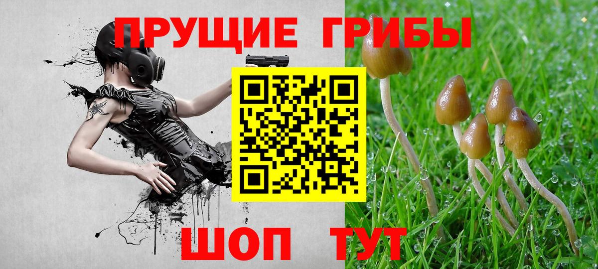 Псилоцибиновые грибы мухоморы Надым